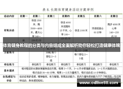 体育健身教程的分类与内容组成全面解析助你轻松打造健康体魄